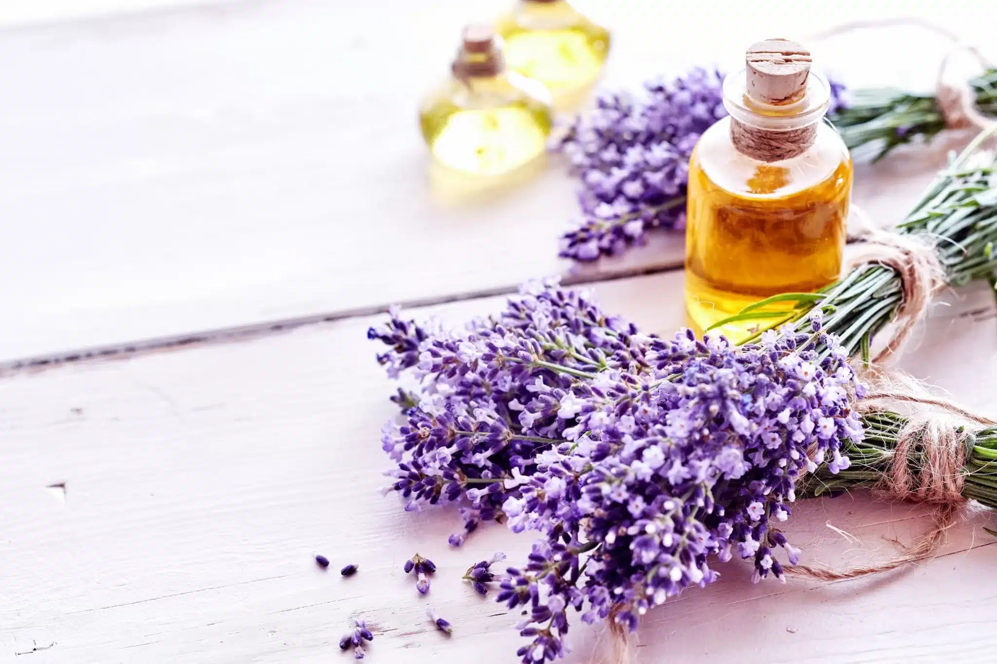 Lavender oil
